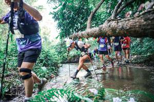 BIB: 
                            <button type="button" onclick="openModal(25460535)" class="btn btn-primary btn-sm float-right btn-popup" data-toggle="modal" data-target=".modal-high-quality">
                        <i class="fas fa-shopping-cart"></i> Add to Cart
                    </button>
                                            <button type="button" onclick="isThisMe(25460535, true)" class="btn btn-success btn-sm float-right btn-popup btn-isme hidden" data-toggle="tooltip" data-placement="bottom" title="นี่คือรูปของคุณใช่ไหม คลิกที่นี่เพื่อเอาเข้าอัลบั้ม">
                        <i class="fas fa-plus"></i> Add to album
                    </button>
                    <button type="button" onclick="isThisMe(25460535, false)" class="btn btn-warning btn-sm float-right btn-popup btn-isnotme hidden">
                        <i class="fas fa-ban"></i> Remove from album
                    </button>